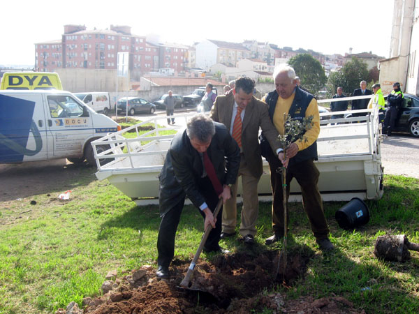 Plantación Subdelegado Gobierno