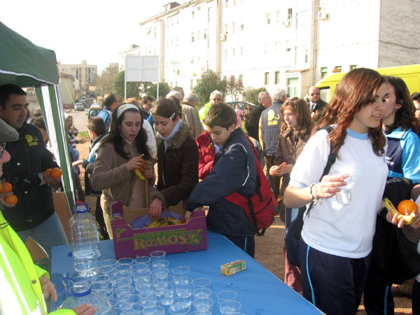 Plantación desayuno