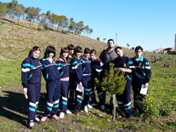 Plantación escolares